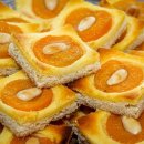 국제 VISA 행정사 이미지