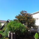 타샤의정원 - 전주시 완산구 황학2길 4 | 타샤의정원