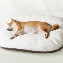 러브펫하우스 이미지