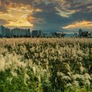 송정국도쉼터 이미지