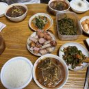 숲속계곡 쉴만한물가 이미지