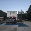 미시령별이내린캠핑장 네이버블로그