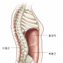 요통과 NEAT의 중요성 이미지