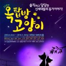 옥탑방 고양이 이미지