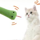 고양이 - 동해시 한섬로 128 | 고양이