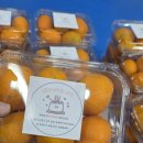 김종현 태권도 이미지