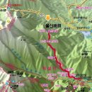 신한동물병원 앞 이미지