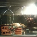 여사님PC 이미지