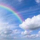 다보이는세상 이미지