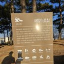 [공지] 해맞이동산.금봉산맨발걷기