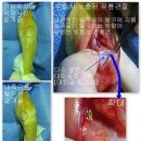 사우동골 이미지