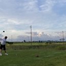 플라밍고C.C 이미지