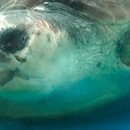 거북축산 이미지