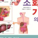 오른쪽 갈비뼈 아래 통증 원인 5가지 및 이미지