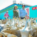 가내축산 뉴스1