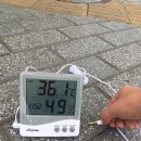 그늘막52 이미지