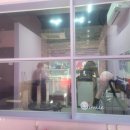 토토펫 하우스 이미지