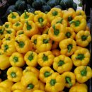 GS포정점 | 명일역 근처-일회용품 없이 장보기(3)슈퍼마켓