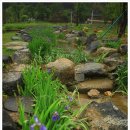 동춘당공원 이미지