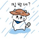 화양원탑캠핑장 이미지