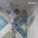 리버무인텔 이미지