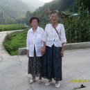 모란댁