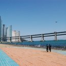 수영강변 이미지