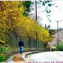 달맞이길 35 이미지