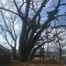 대전 3.1의거 기념관 이미지