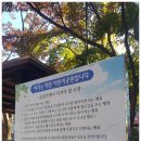 세븐일레븐 익산영등신일점 | [369편/전북특별자치도 익산시 영등1동] 신일아파트와 동신아파트 사이에 위치한 아이들이 마음껏...