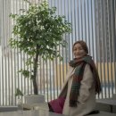임당역 이미지