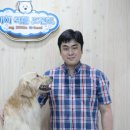 도그워시 이미지