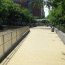 (주)도그아일랜드 이미지