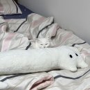 본1 겨울방학 후기