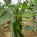 삼부자농장 이미지