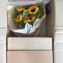 해바라기꽃 | 싱싱함에 감동! 어제의소녀 해바라기생화 꽃다발 온라인꽃주문 성공 후기
