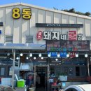 돼지네굴수산