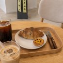 별보다카페 | 카페개업화분 후기! 카페에 어울리는 종류·센스있는 축하 문구 추천