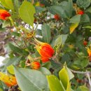 한나부동산공인중개사사무소 이미지