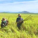 통일농민농장 이미지