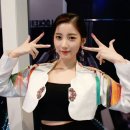 퍼키걸 이미지