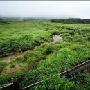 용늪마을 이미지