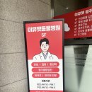 베스트동물병원 | [광주 서구 동물 병원] 미유 펫 동물 병원, 운천역 근처 동물 병원, 쌍촌동 동물 병원 후기