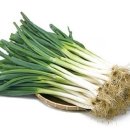 총백한의원 이미지