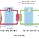 씨티재활의학과요양병원 이미지