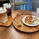 양코치 애견카페 이미지