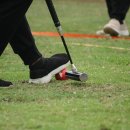 게이트볼 이미지