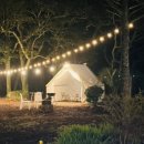 체크 인 제주 이미지