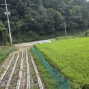 이삭 태양광발전소 이미지