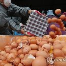 시온축산 이미지